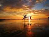people on beach during sunset