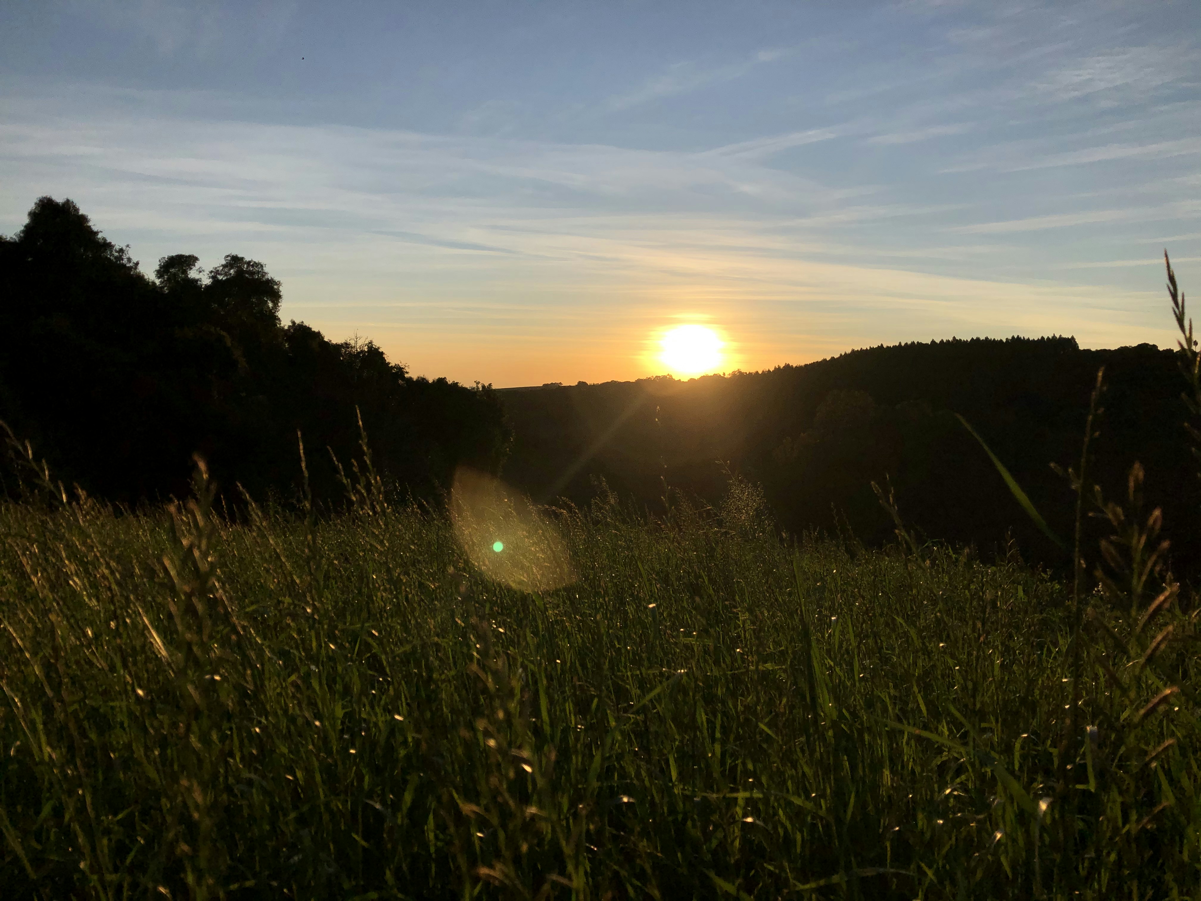 Adventuring through the Canadian Rockies