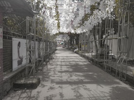A pathway lined with metal scaffolding structures on either side, decorated with hanging white floral arrangements. The ground is adorned with shadows from the structures overhead. Posters featuring a meditative figure are attached to the scaffolding. Trees and greenery are visible in the background, contributing to a tranquil setting.