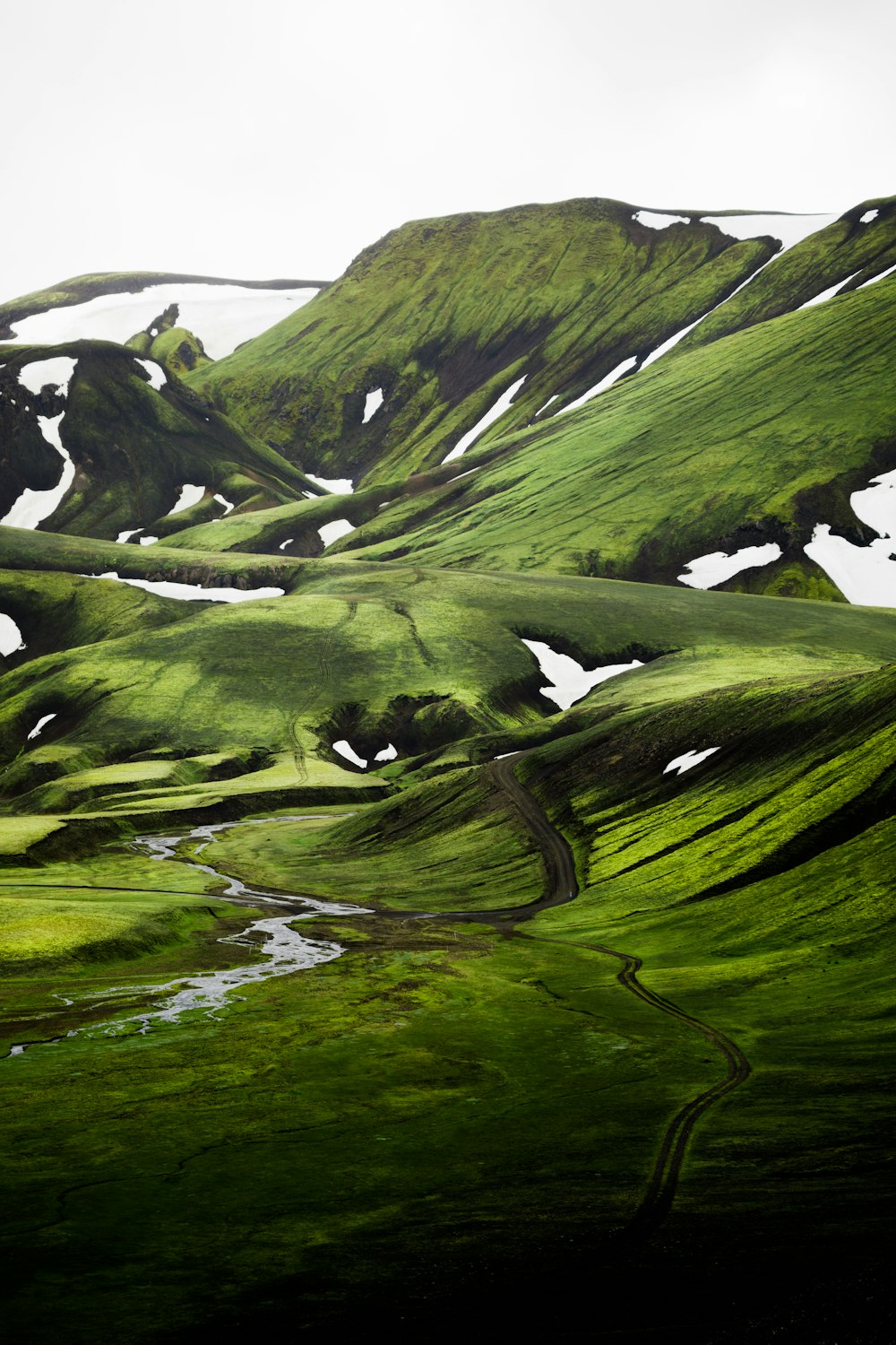 green moss on rock formation