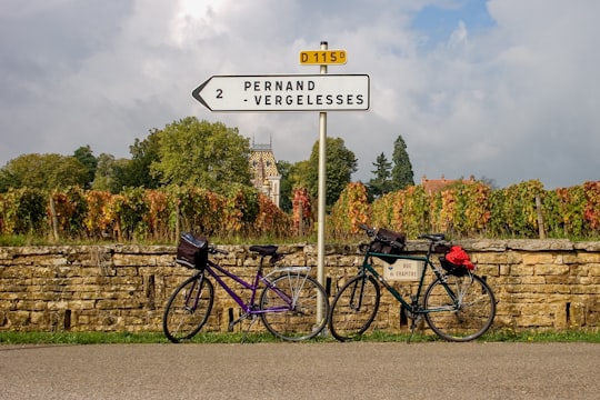 purple and black city bike parked beside road sign in Beaune France