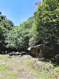 A charming bamboo cottage surrounded by lush greenery under a bright blue sky.