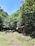 A bamboo hut with a thatched roof is situated in a lush forest setting. Surrounding the hut are dense green trees and foliage. The ground is covered with grass and some rocks, creating a rustic path leading to the hut. The sky above is clear and blue.