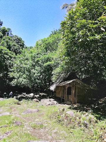A charming bamboo cottage surrounded by lush greenery under a bright blue sky.