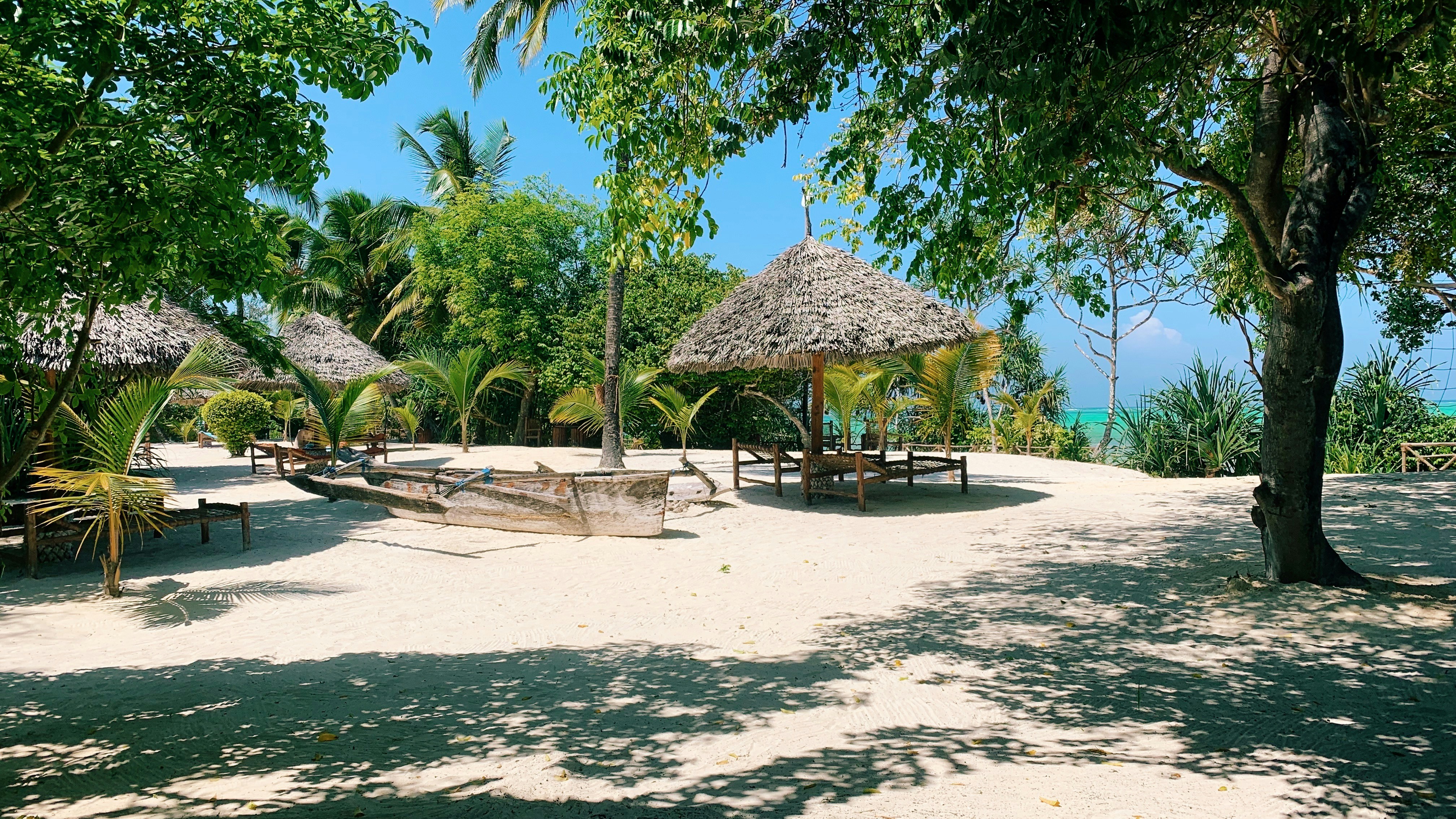 brown nipa hut on beach during daytime