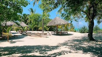 brown nipa hut on beach during daytime