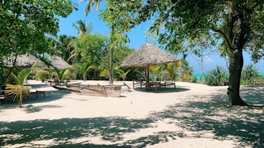 brown nipa hut on beach during daytime