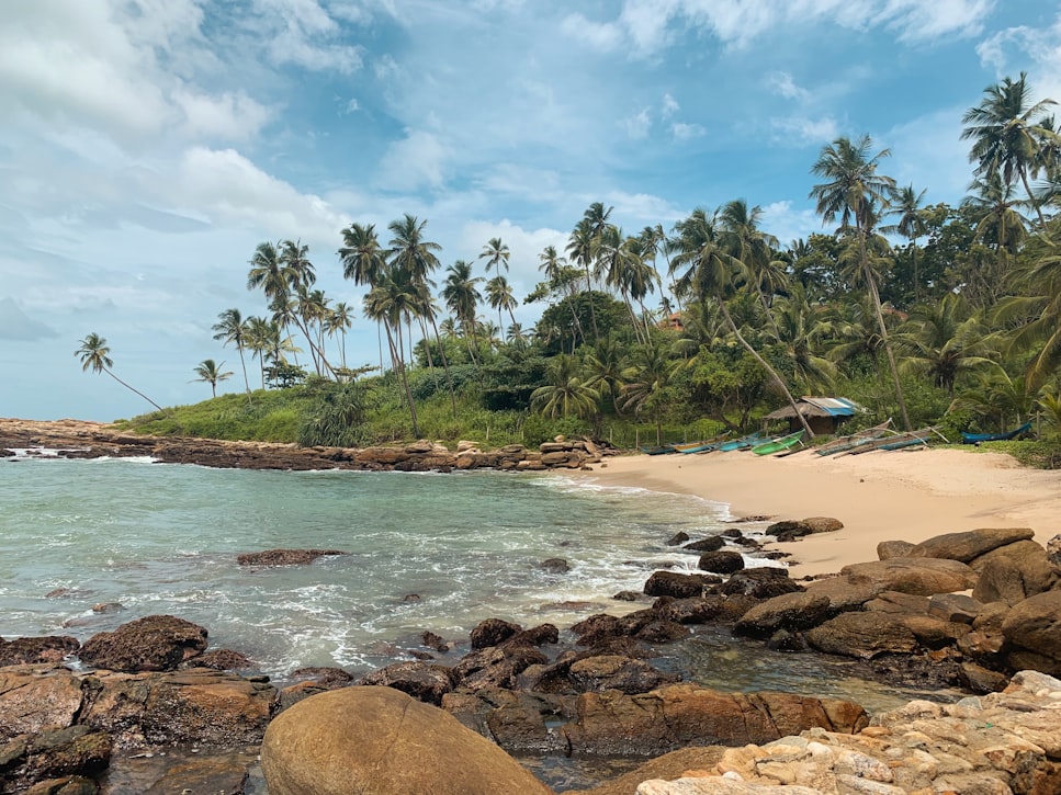 Jungle beach, Sri Lanka