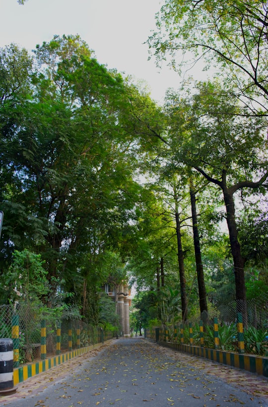 green trees near white concrete fence during daytime in Guntur India