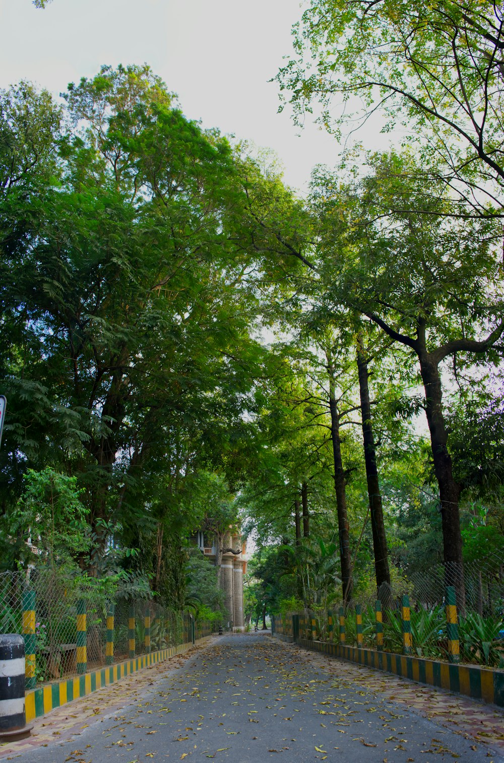 green trees near white concrete fence during daytime