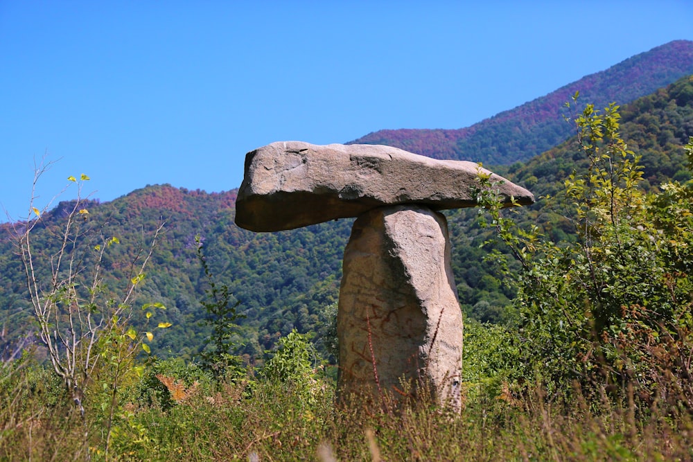 gray rock formation on green grass field during daytime