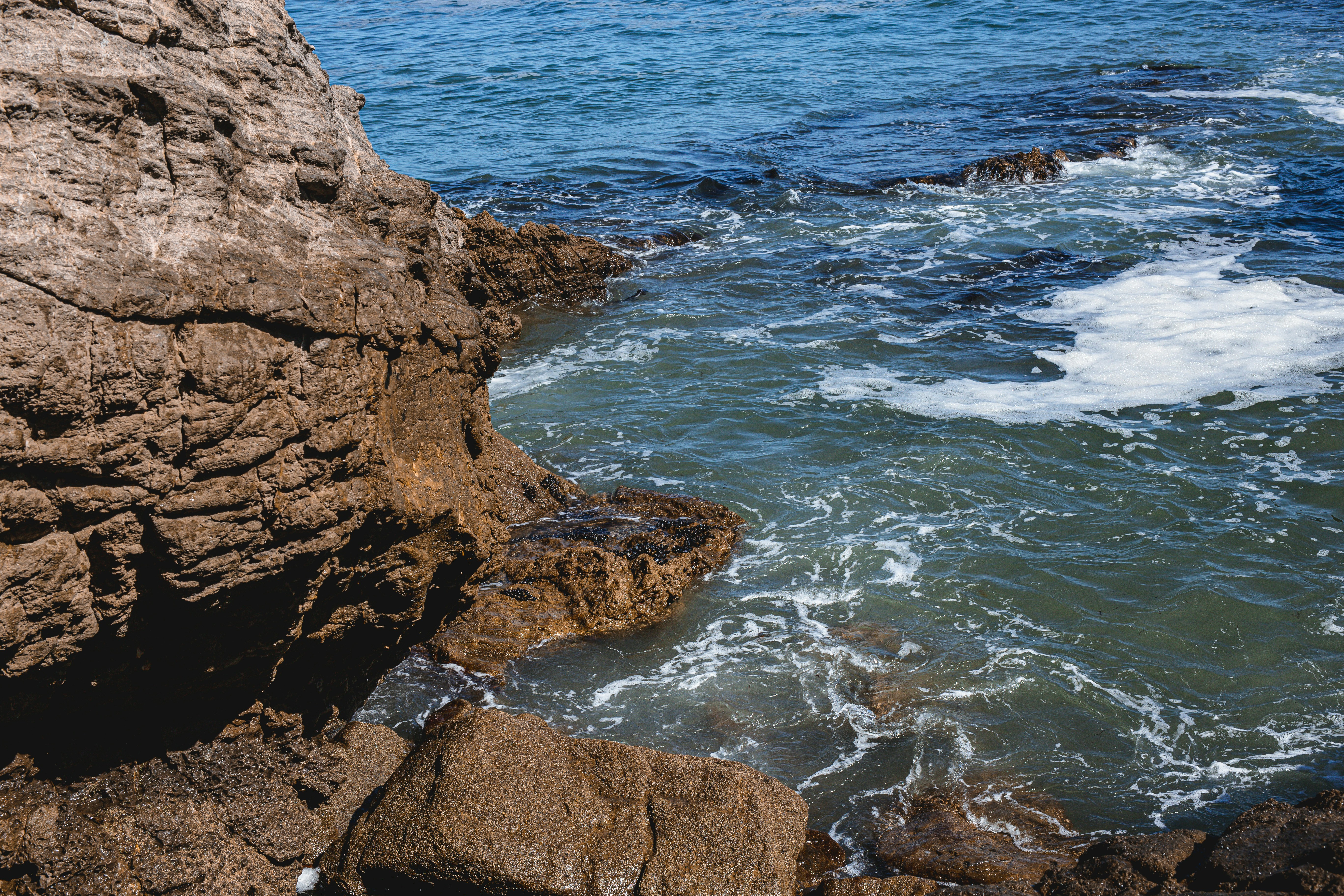 Photo by donovan_valdivia