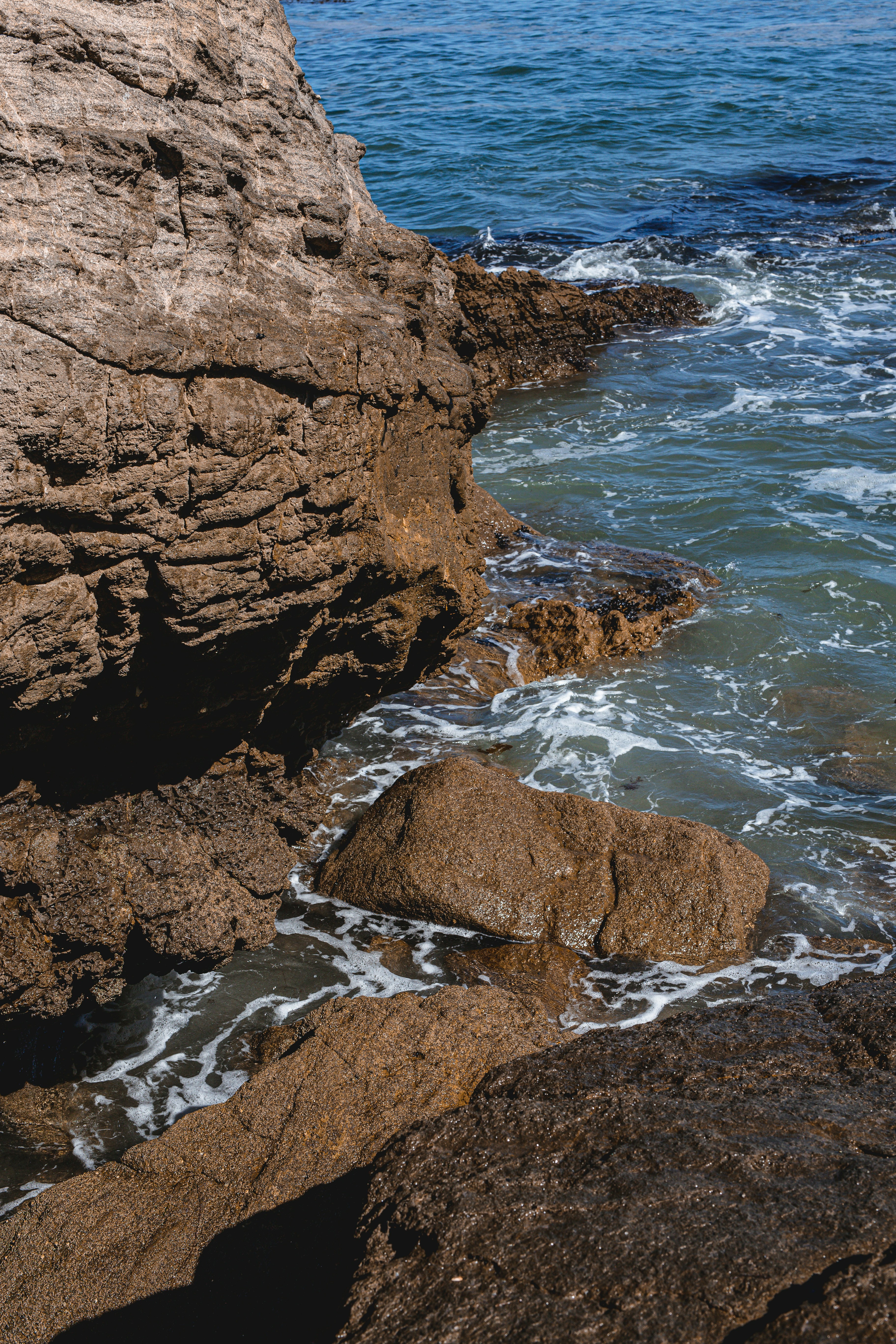 Photo by donovan_valdivia