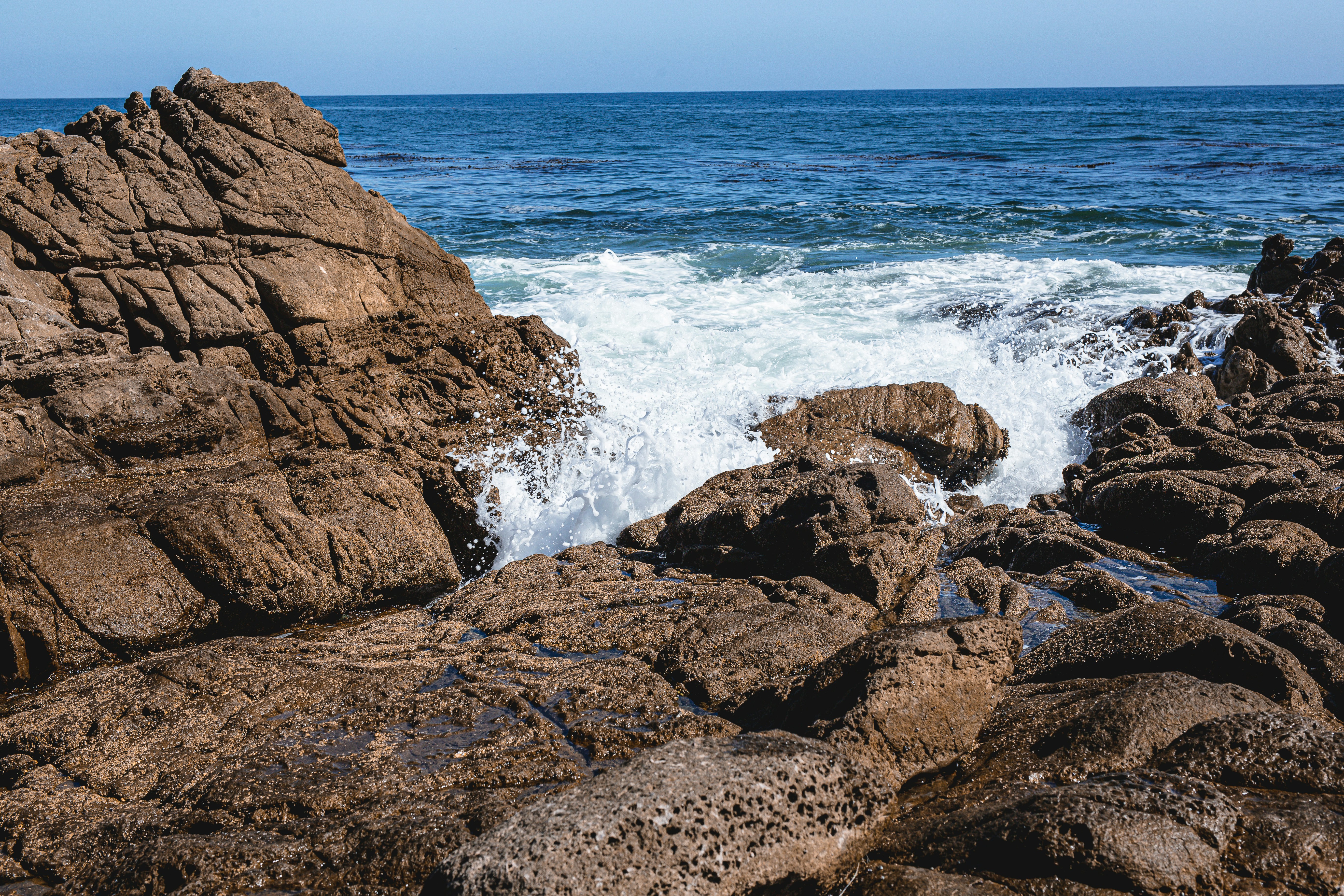 Photo by donovan_valdivia