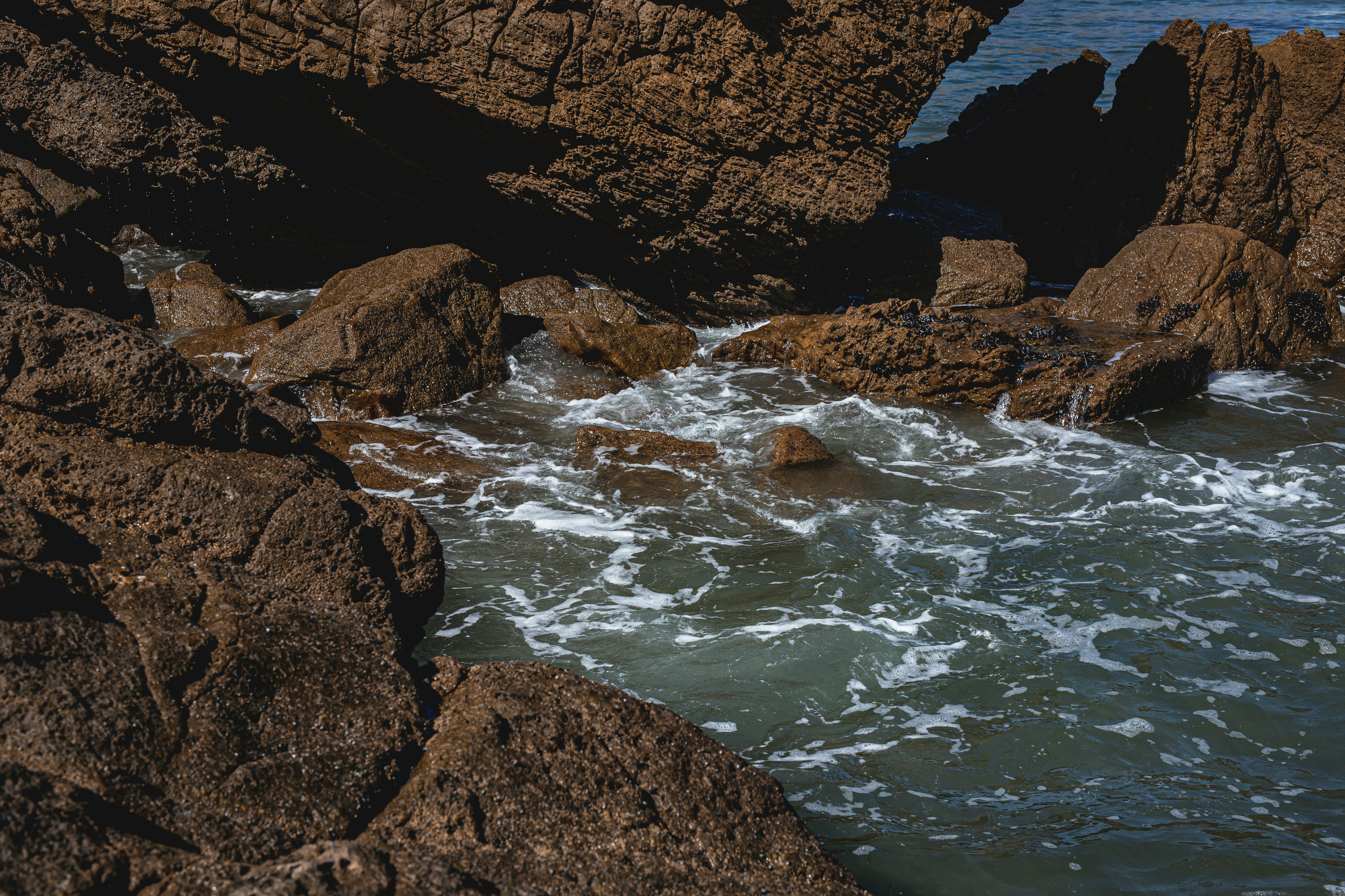 Photo by donovan_valdivia