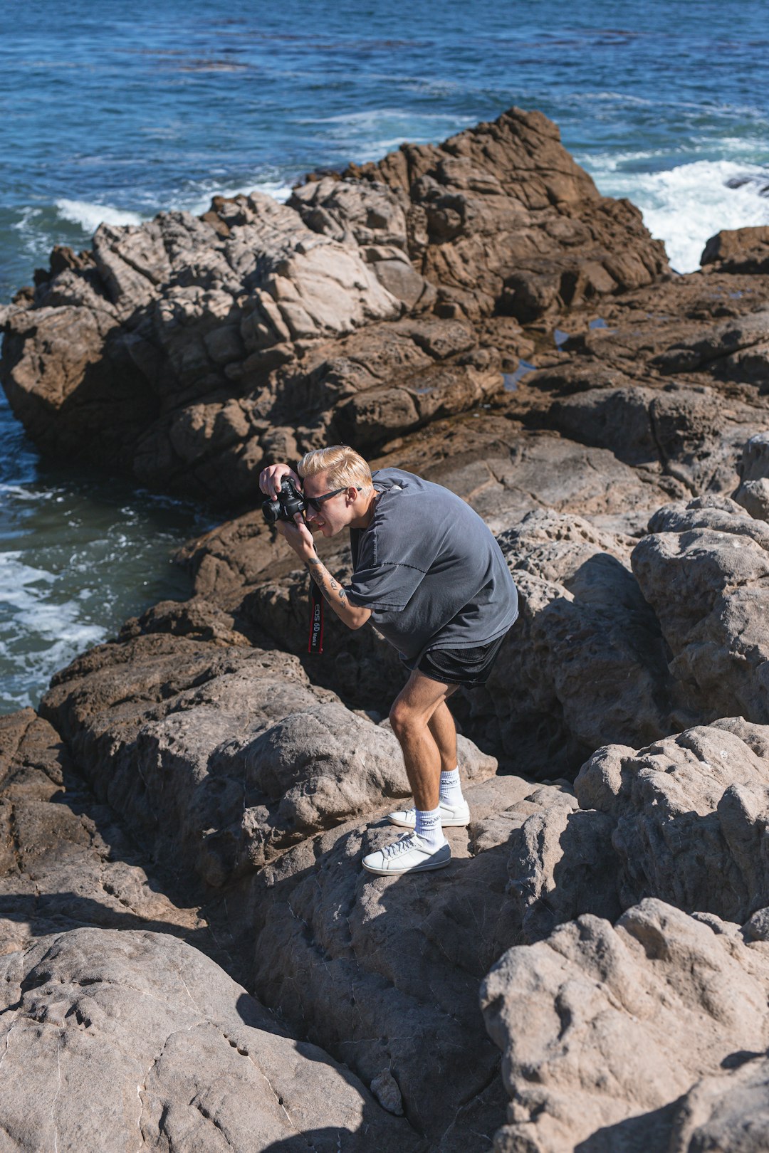 man in gray t-shirt and black shorts holding brown short coated dog on rocky shore