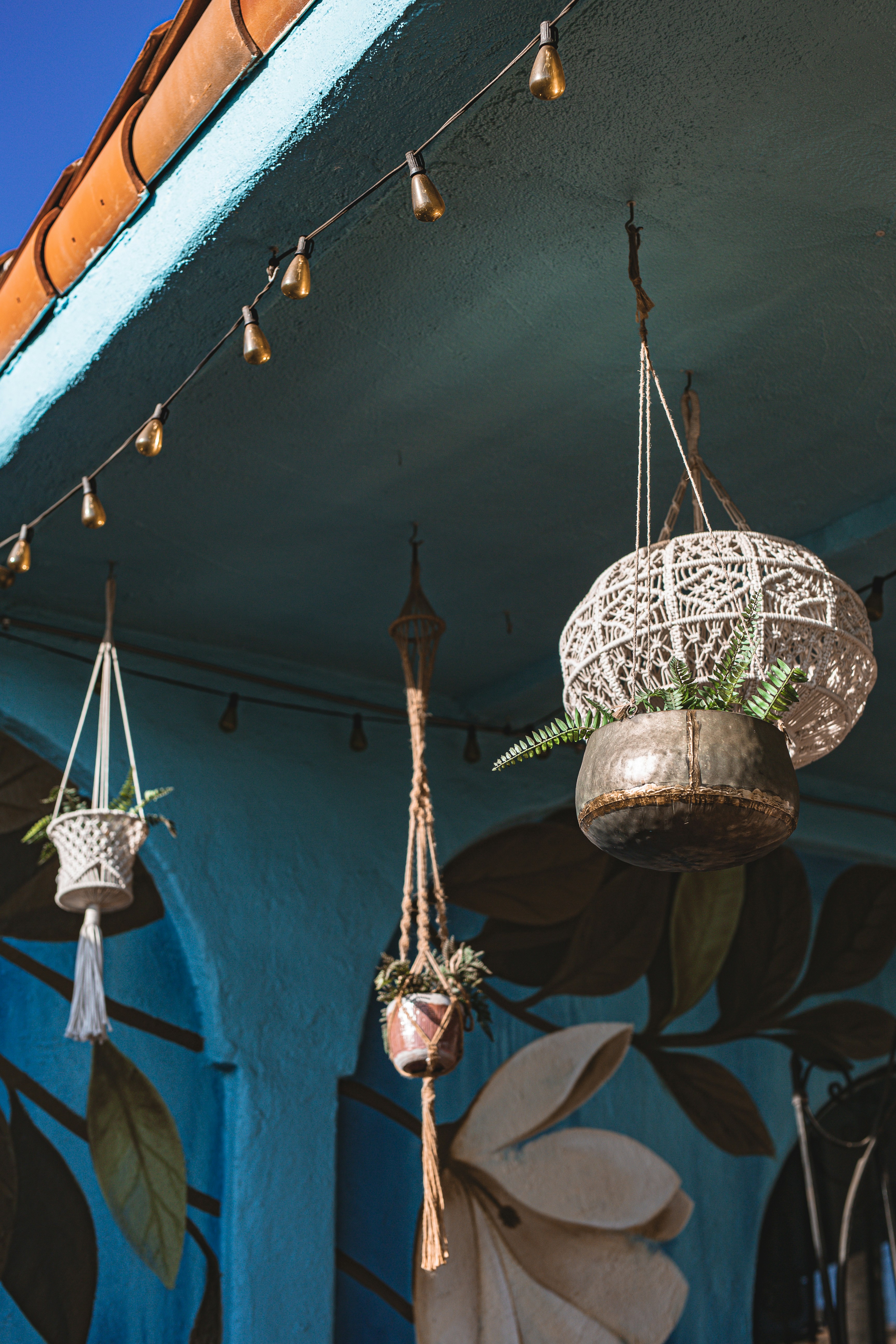 Photo by donovan_valdivia