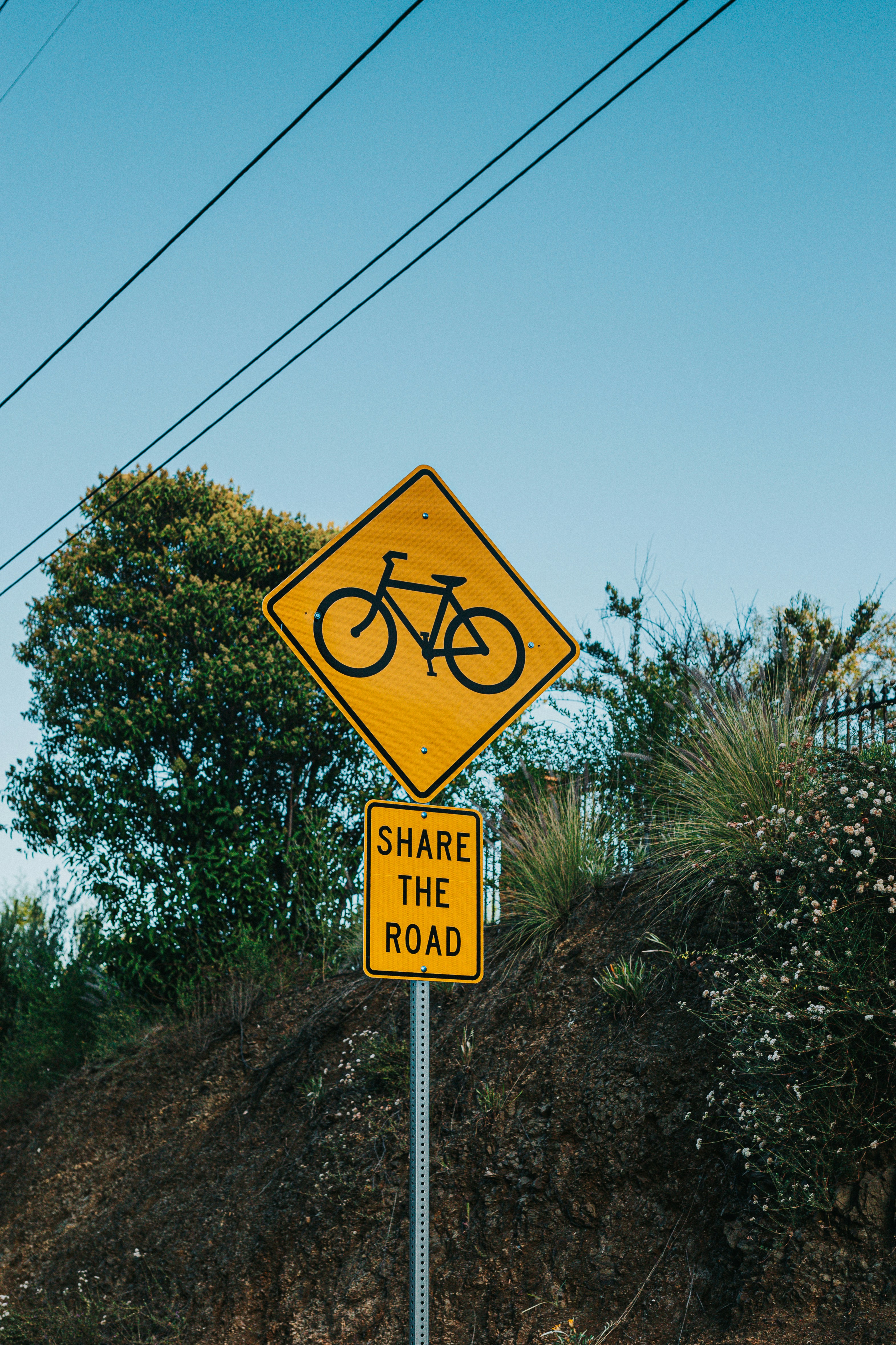 Photo by donovan_valdivia