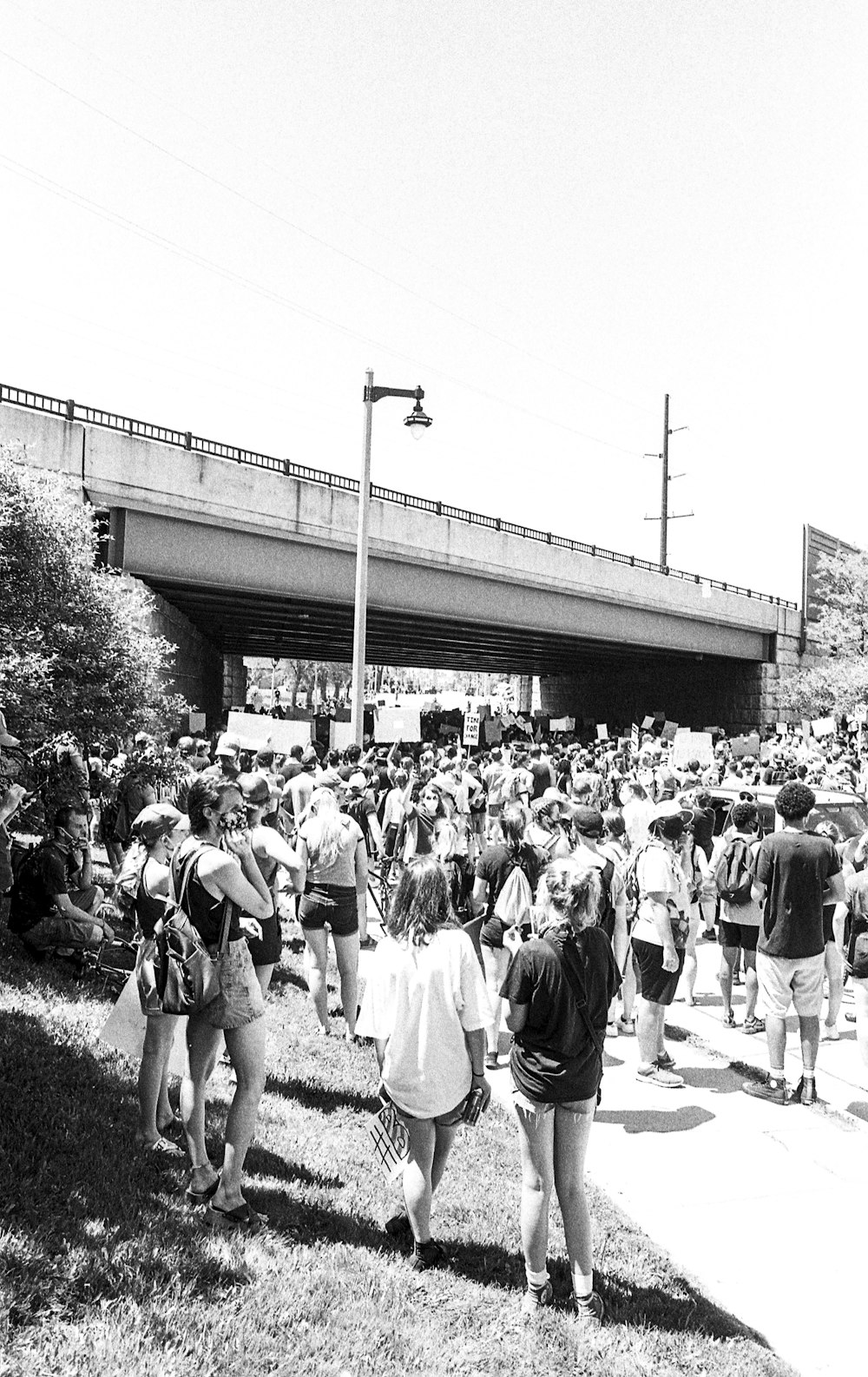 grayscale photo of people standing near trees