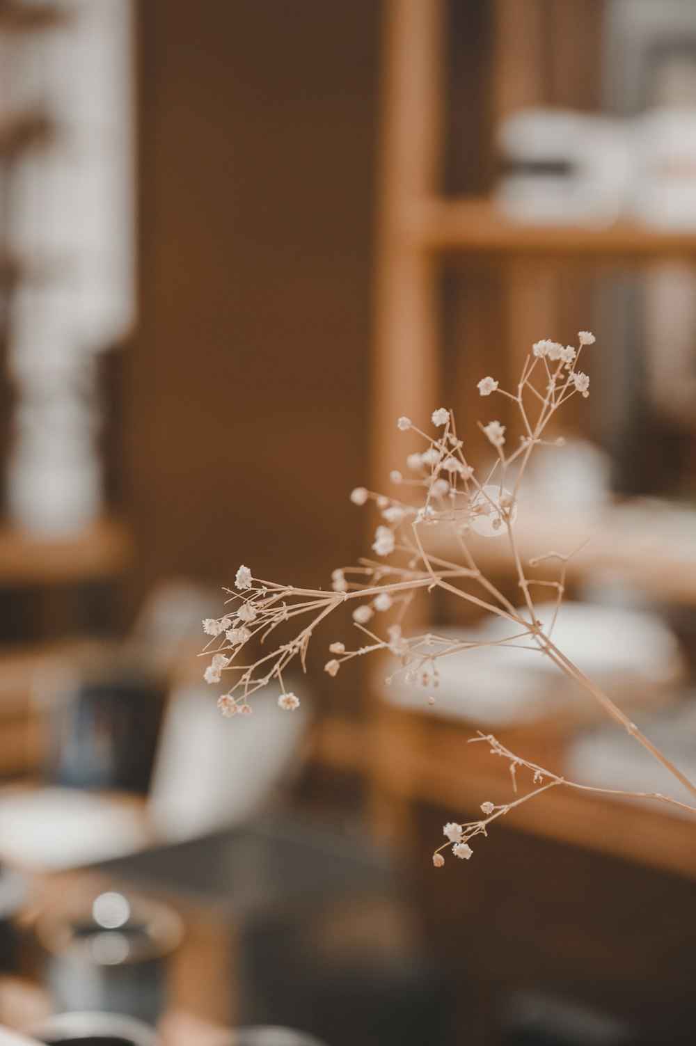 fleurs blanches dans un vase en céramique blanche