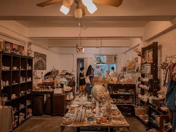 A cozy, cluttered room filled with various vintage and eclectic items. Shelves and tables are adorned with ceramics, trinkets, and decorative pieces. Two people are present, one reading a book and another by a window. Warm lighting and muted tones create a nostalgic atmosphere.