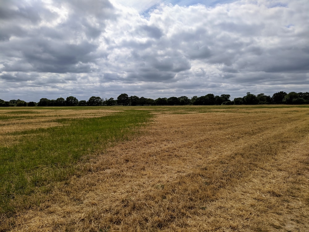 green grass field under cloudy sky during daytime