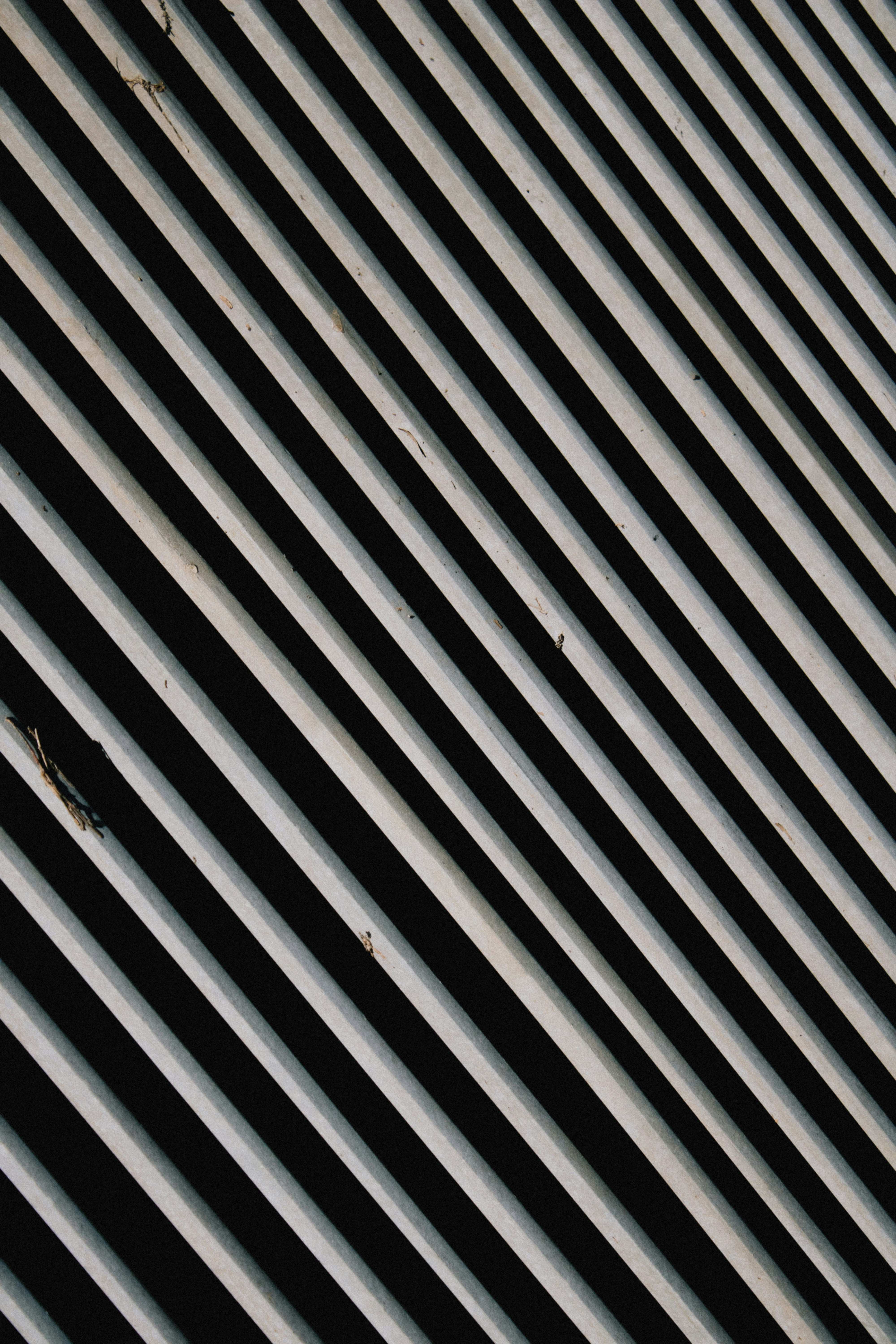 Photo by gregoryphotography