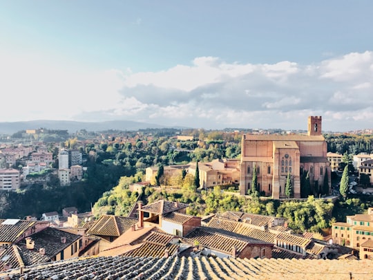 Duomo di Siena things to do in Province of Siena