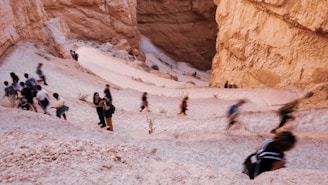 Community members participating in a guided desert nature walk