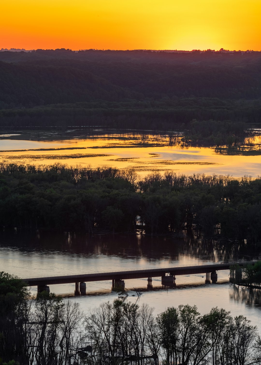 green trees beside body of water during sunset