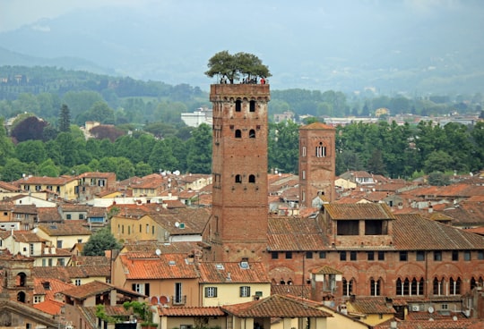 St Martin Cathedral things to do in Lucca