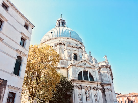 white concrete building under blue sky during daytime in Basilica di Santa Maria della Salute Italy