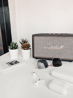 A tabletop setup featuring a vintage-style speaker with a textured front, flanked by potted succulents in white pots. Below the speaker are sleek sunglasses resting on the table. Nearby, a pair of wireless earbuds and their charging case are positioned beside a minimalist notebook or booklet.