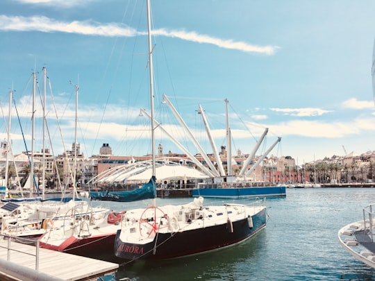 white and red boat on sea during daytime in Aquarium of Genoa Italy