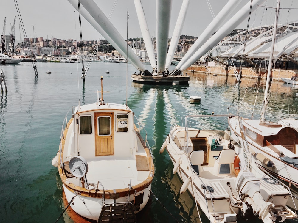 white and brown boat on water during daytime