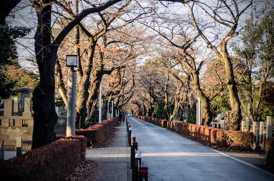 Town photo spot Tokyo Ginza Sony Park