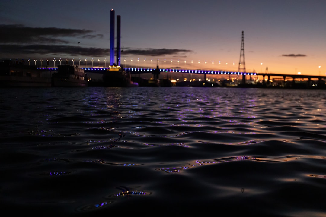 body of water near bridge during night time