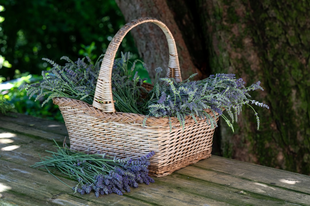 blue and white woven basket on brown wooden table