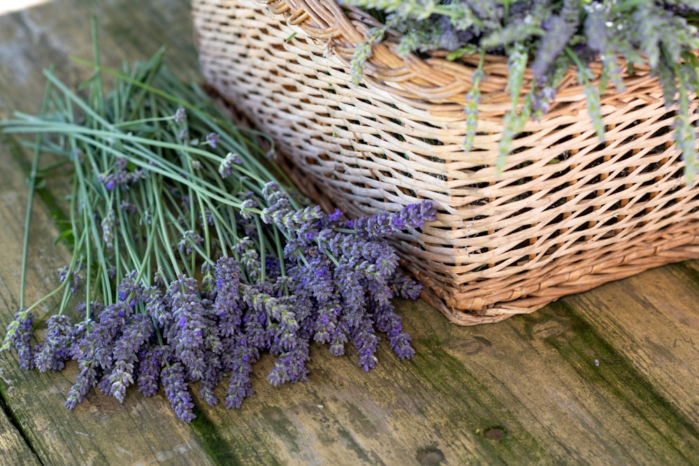 purple flowers on brown woven basket