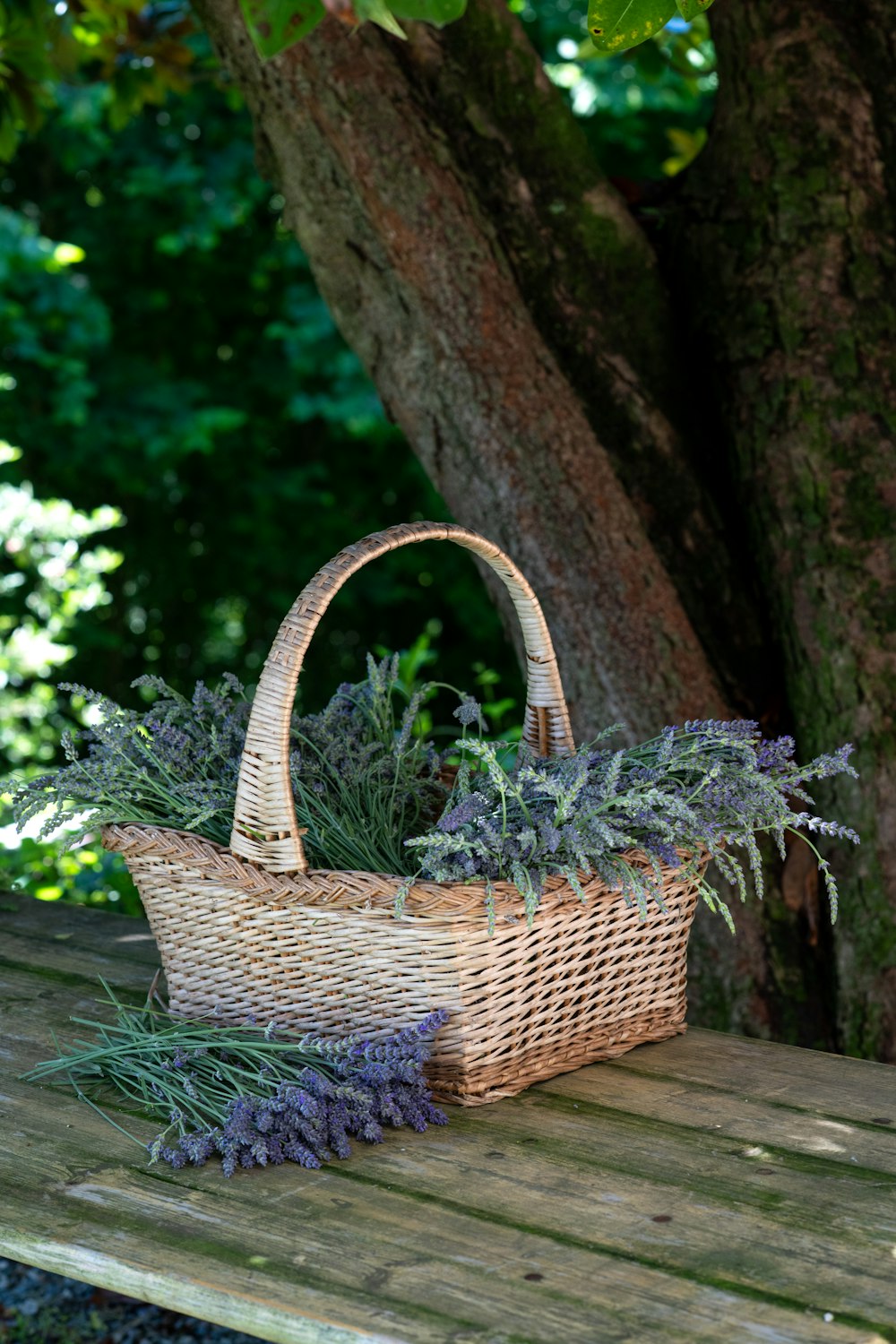 brown woven basket on green leaves