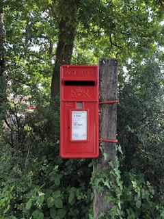 red mail box on tree trunk