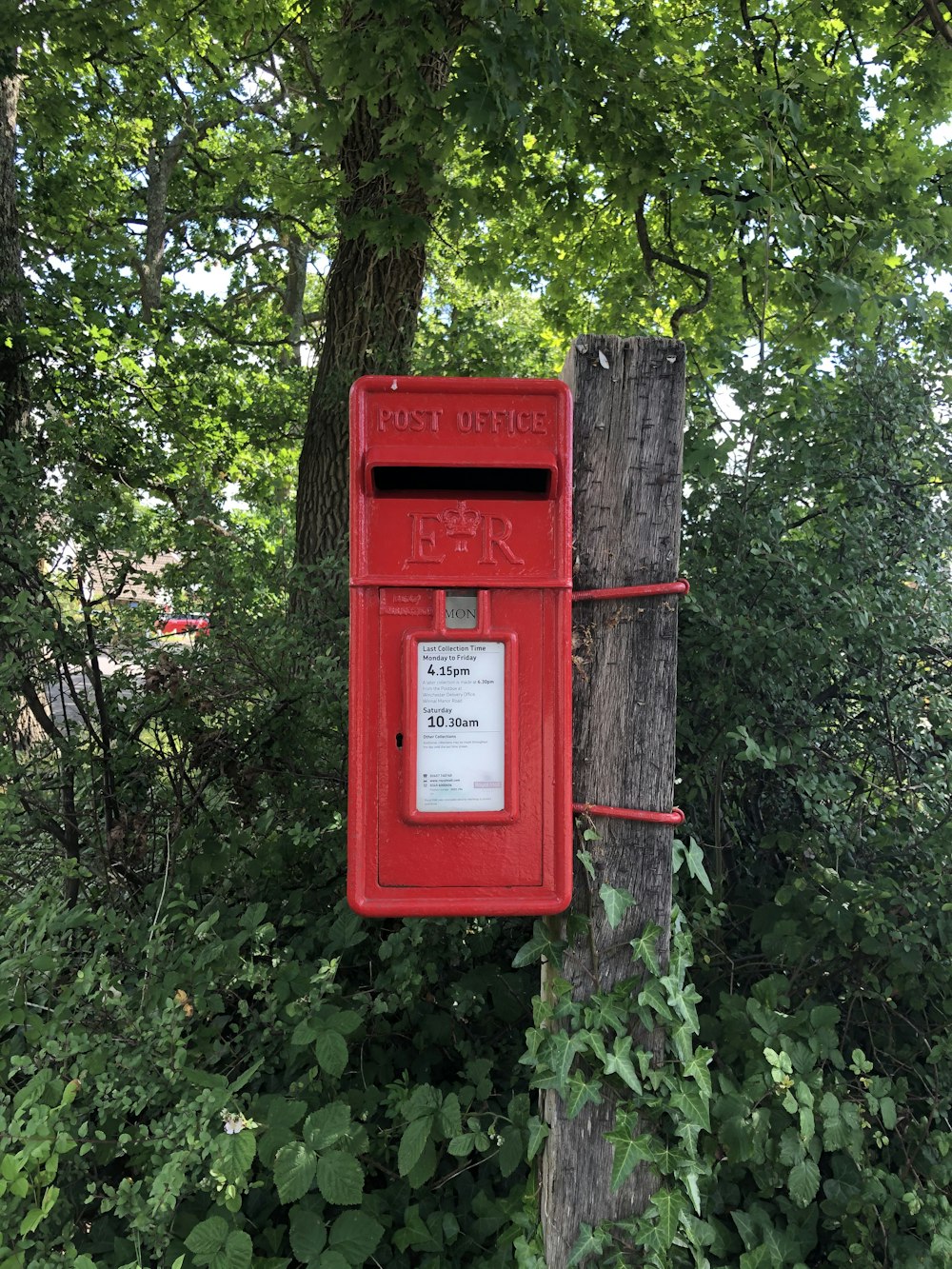 red mail box on tree trunk