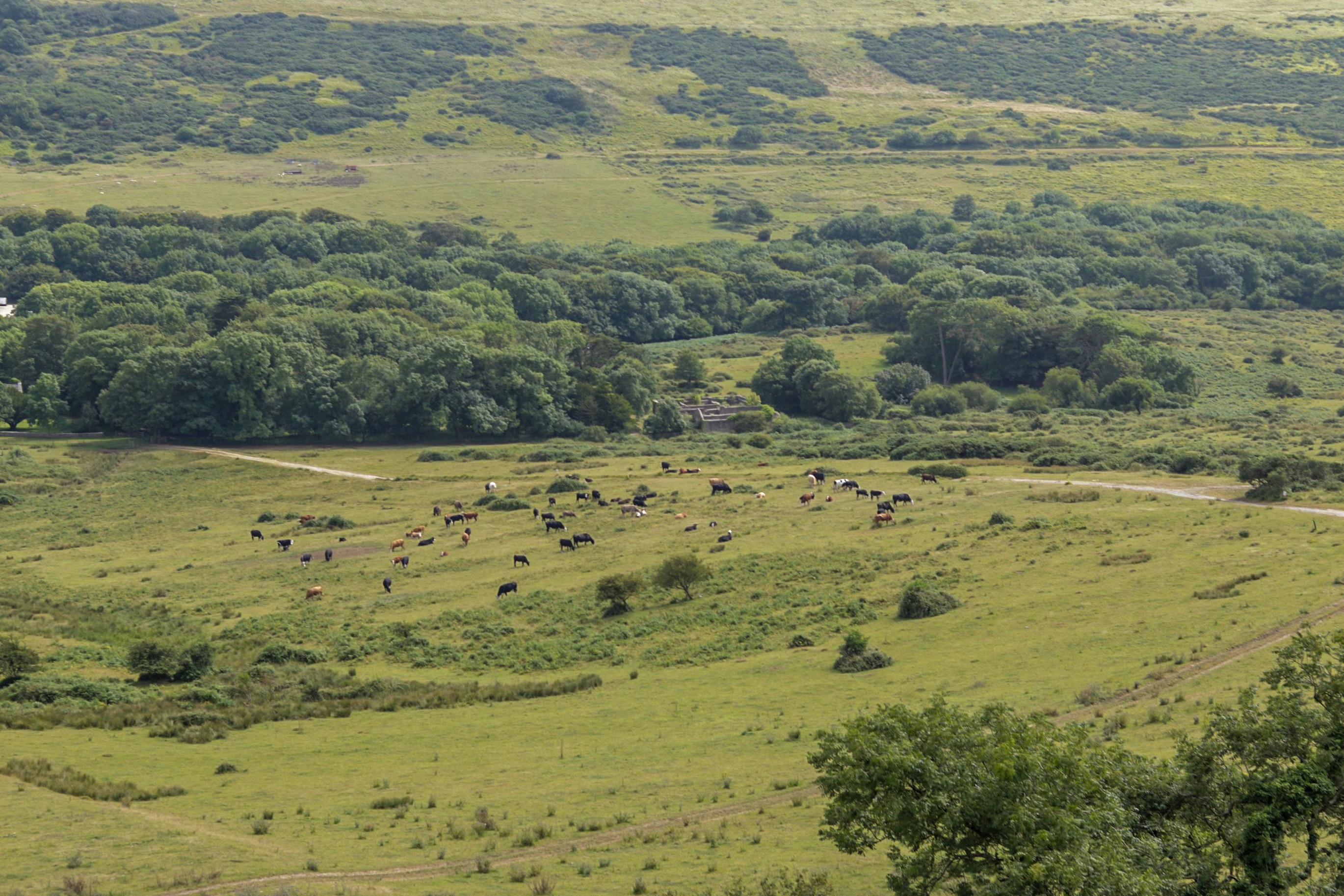 Photo by laurencerh_