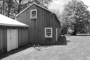 A wooden barn with rustic panels surrounded by trees and a grassy area. There is a vintage wagon or piece of equipment on the lawn, and the scene is rendered in black and white, highlighting the textures and shadows.