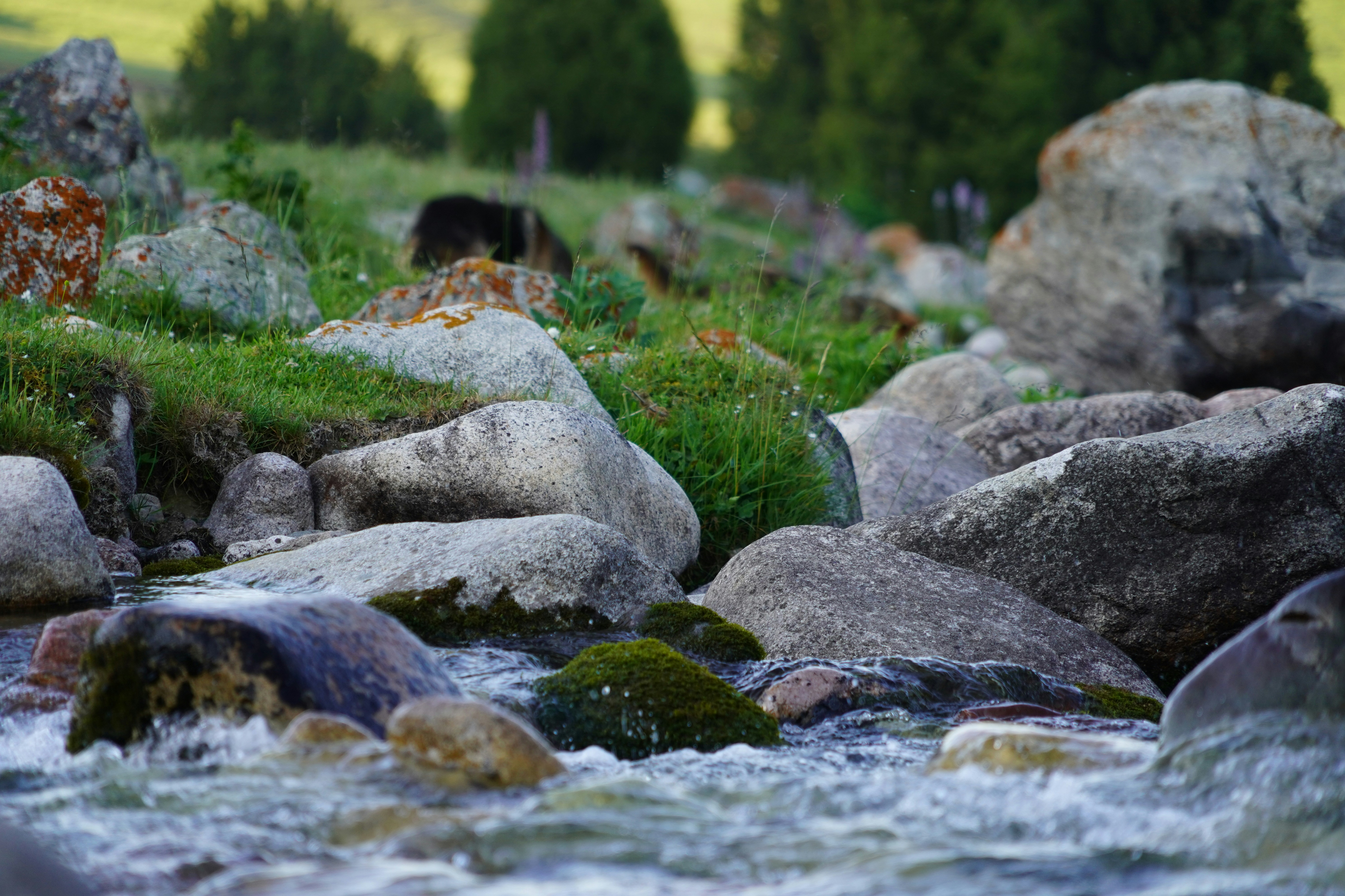 gray rocks on river during daytime kyrgyzstan zoom background