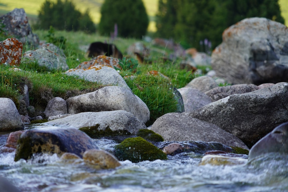 gray rocks on river during daytime