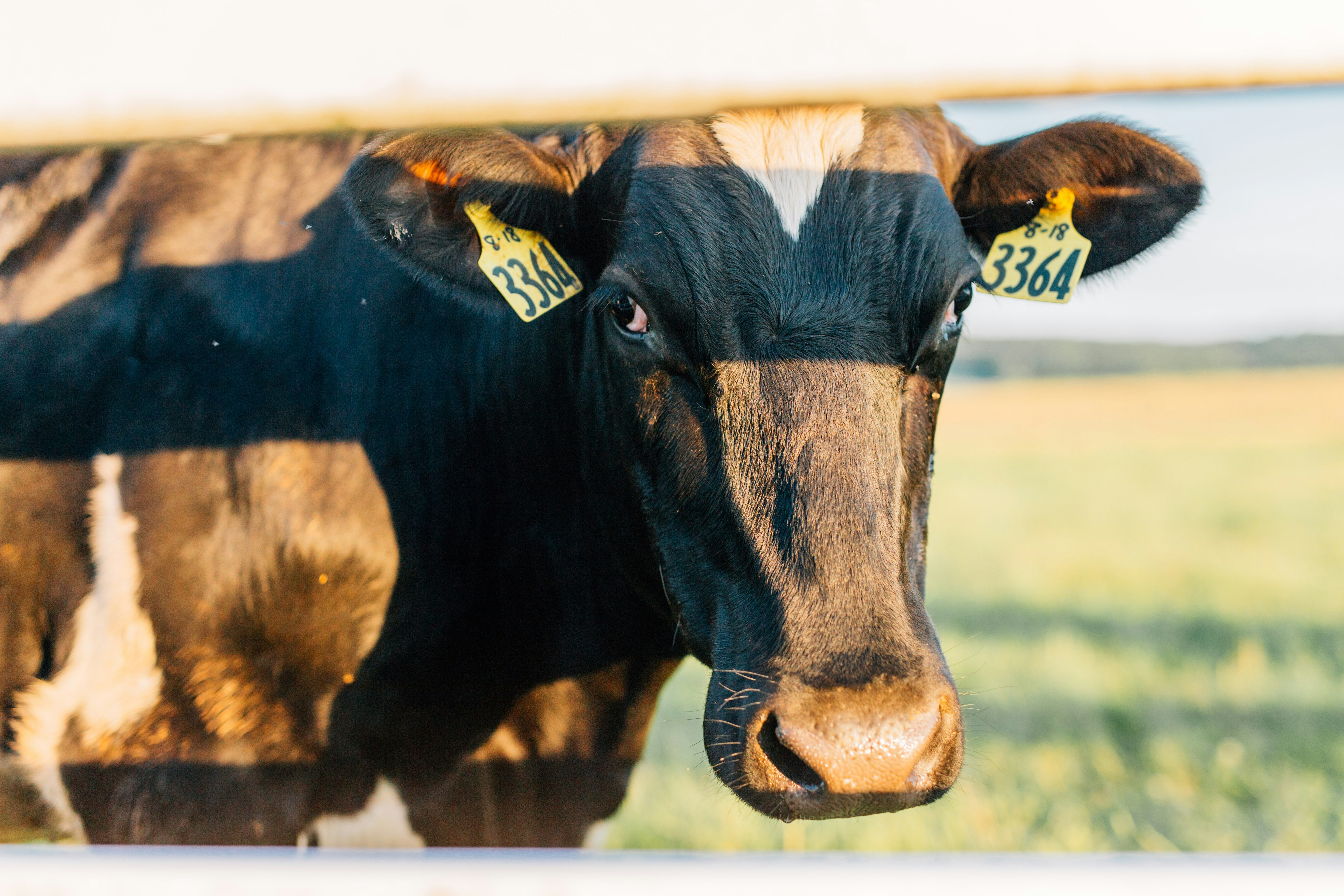 Photo by kristynlapp