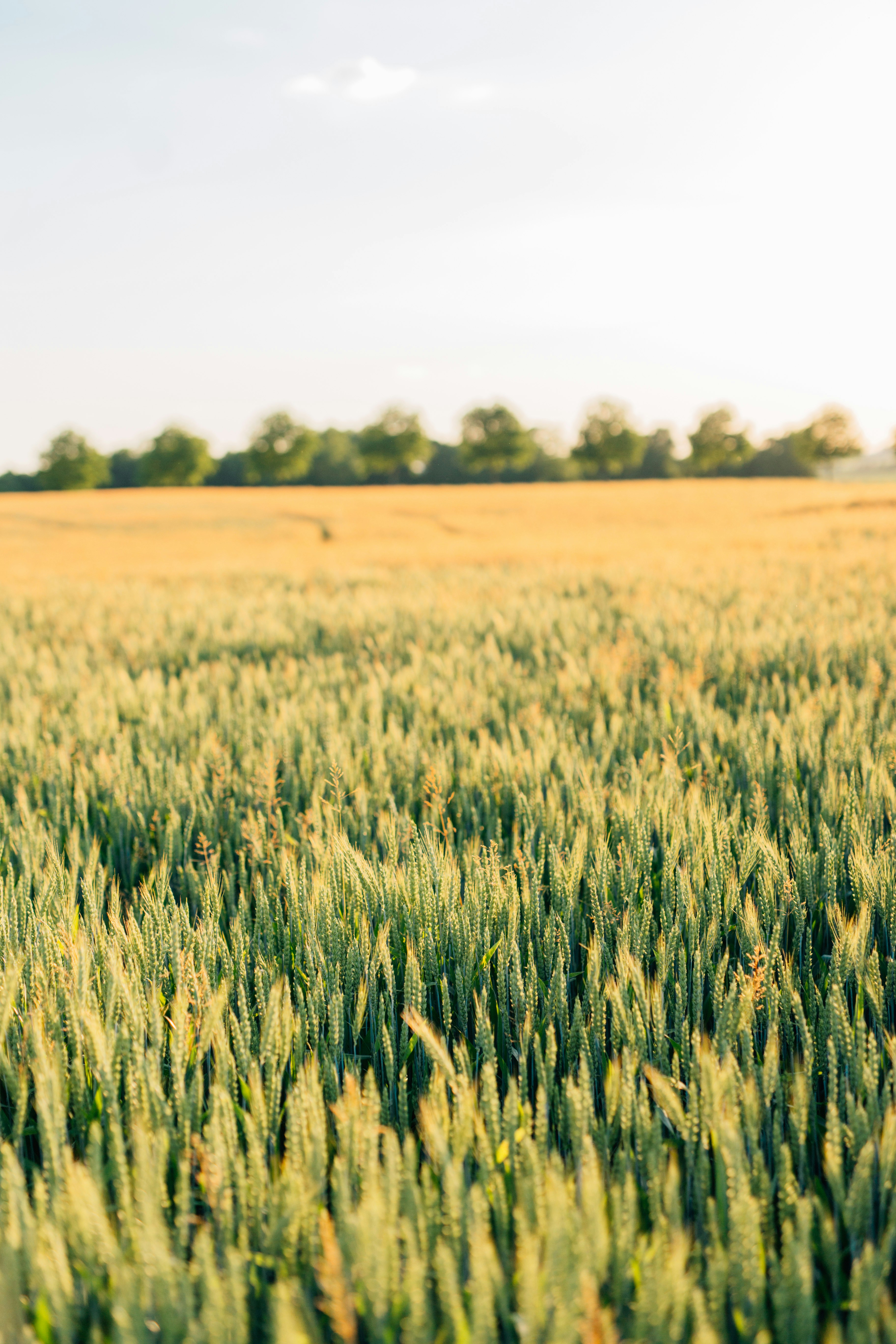 Photo by kristynlapp