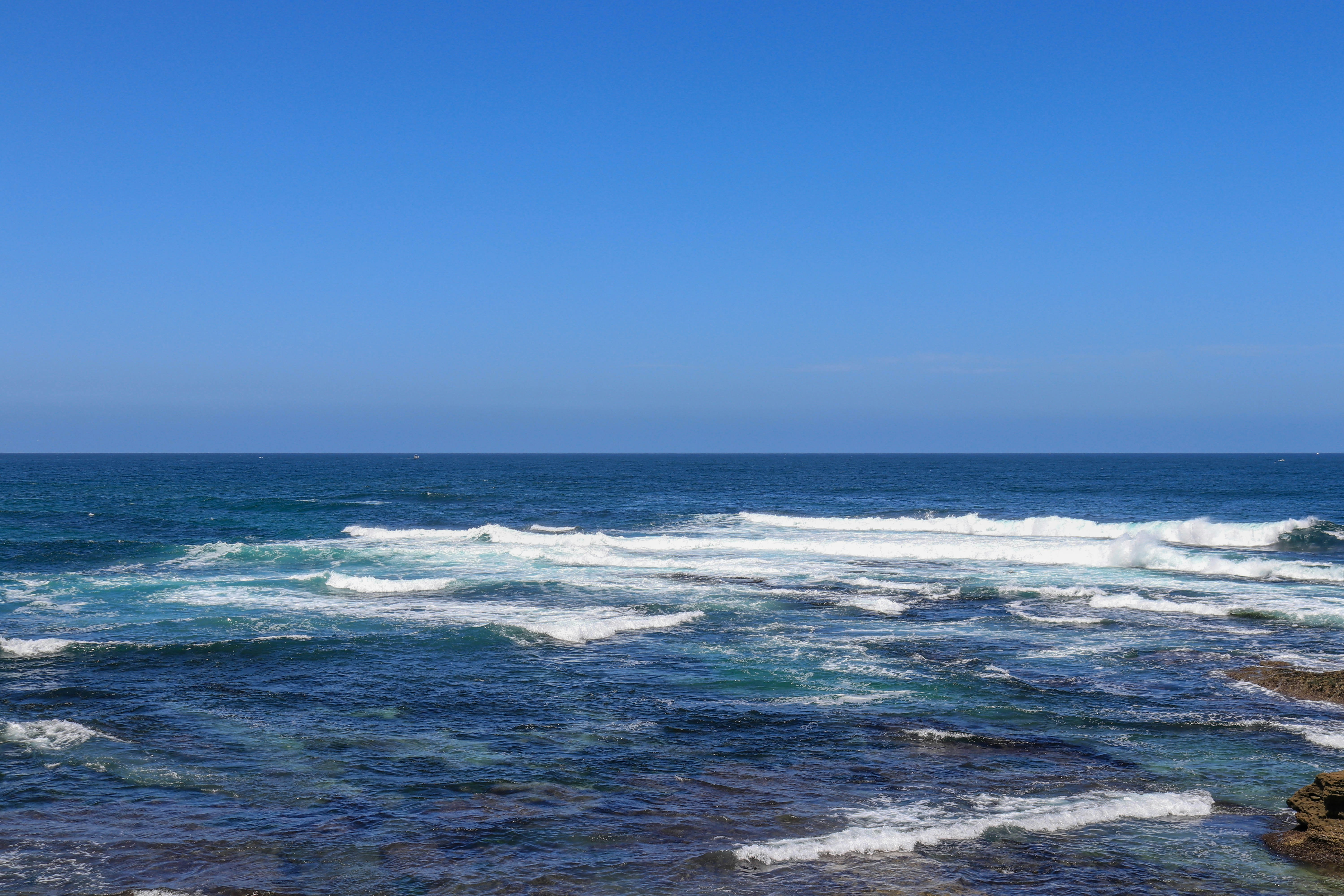 Photo by cobbhbluebrothe