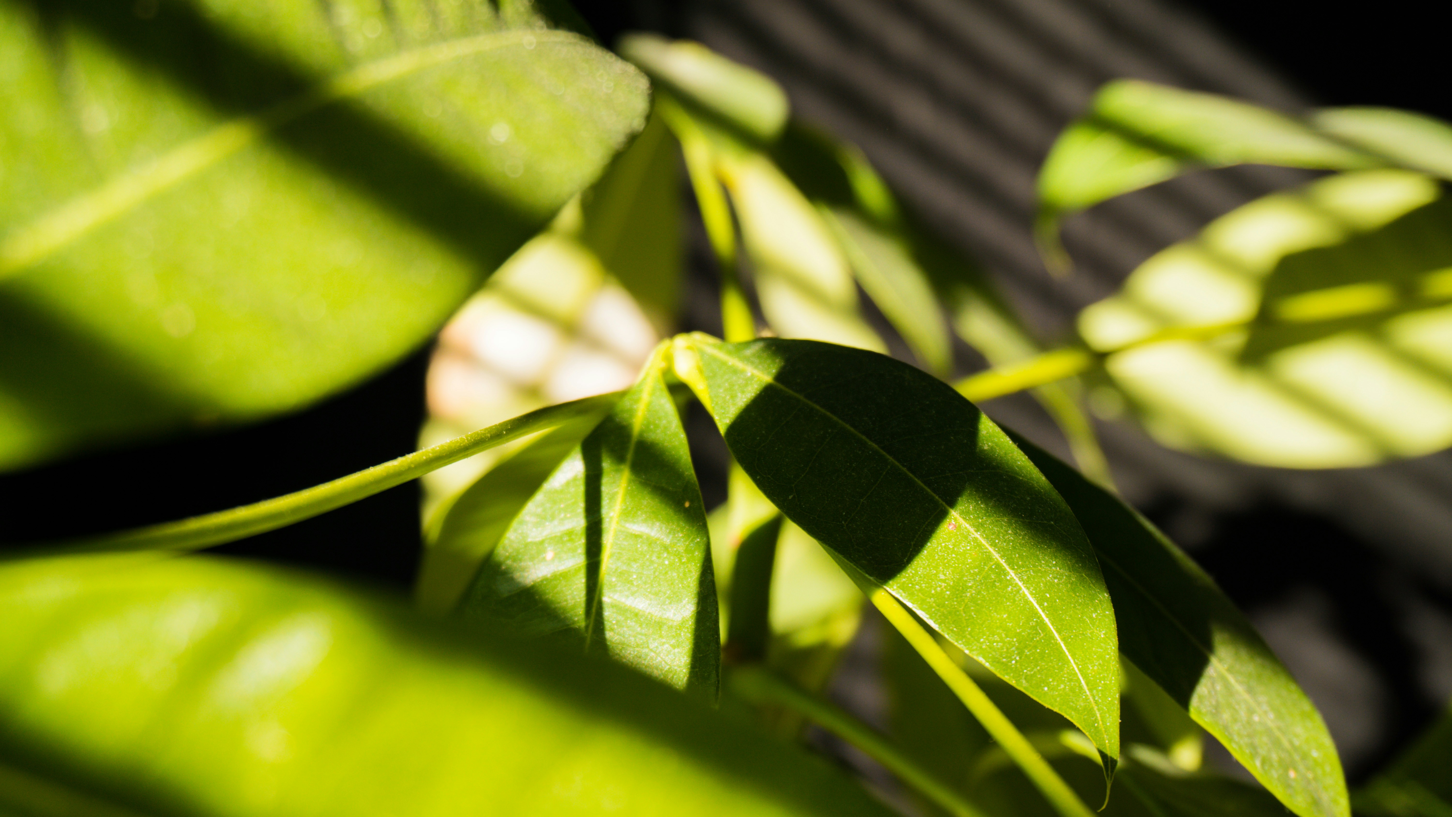 Photo by finnsartworks